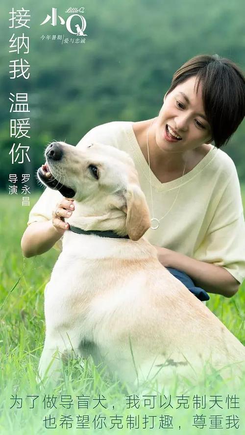 高中毕业证学籍编号怎么查